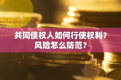 济南共同债权人如何行使权利？风险怎么防范？